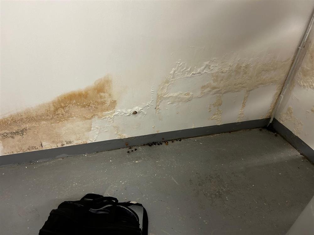 Mur intérieur taché par l'humidité en bas de mur