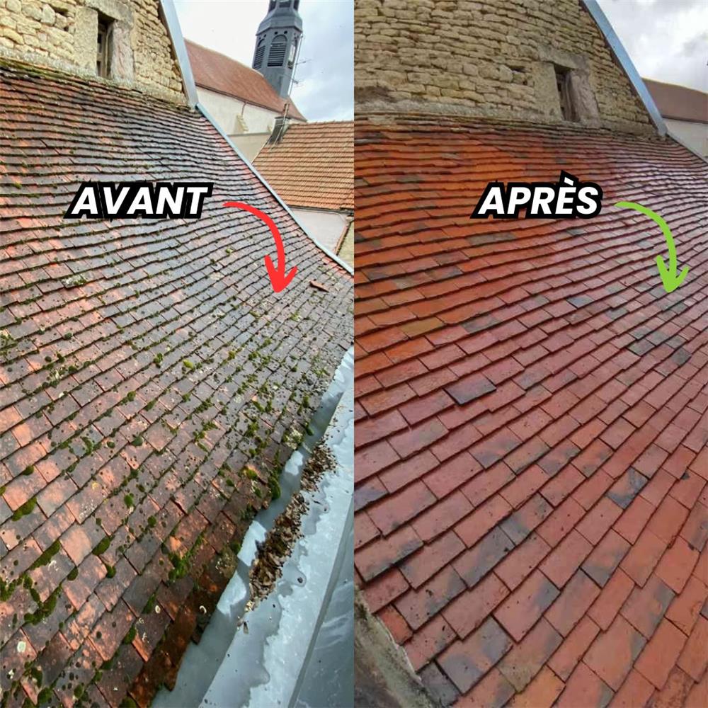 Pan de toiture avant et après démoussage et traitement