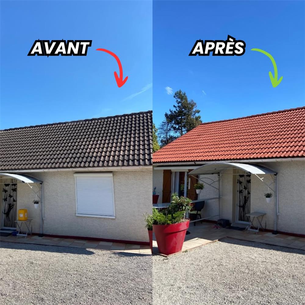 Pavillon, toiture avant et après traitement