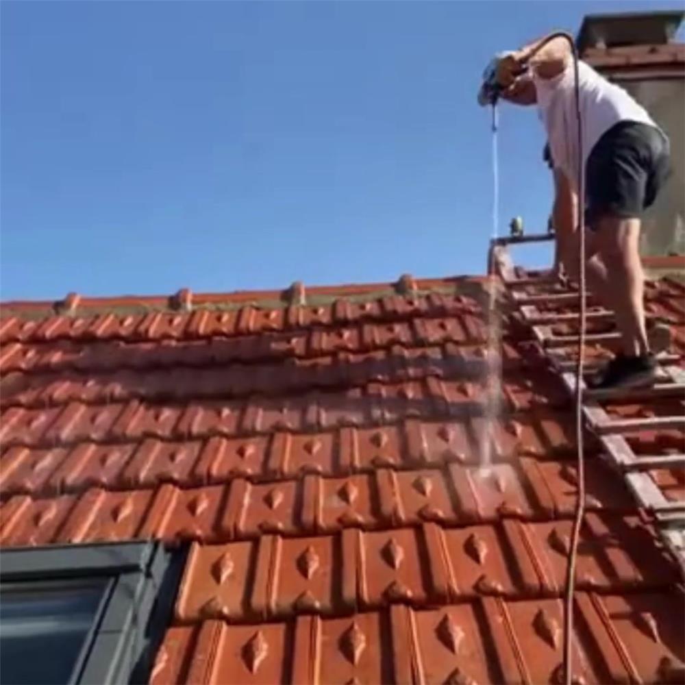 Technicien appliquant un traitement depuis une échelle de toit